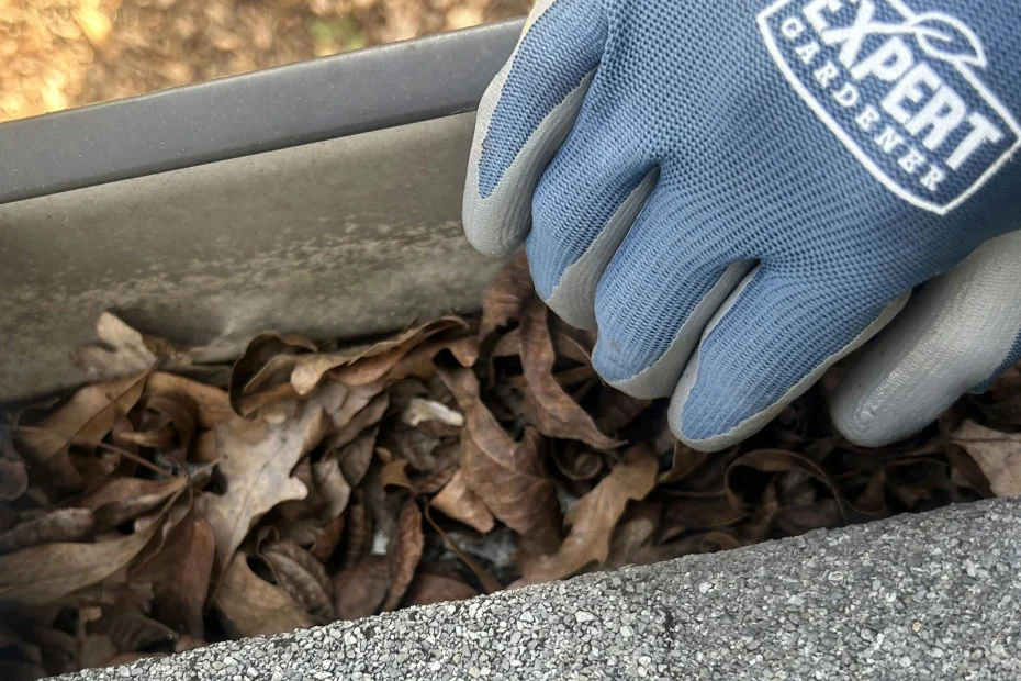 Gutter Cleaning Decatur AL